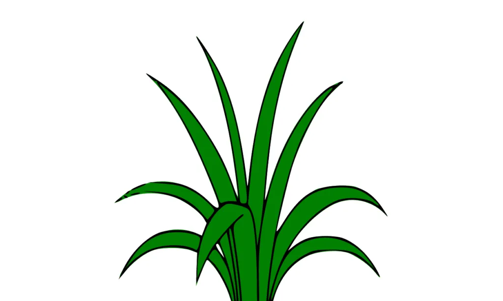 Gambar Rumput Kartun