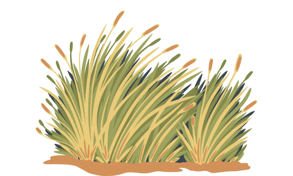 Gambar Rumput Kartun