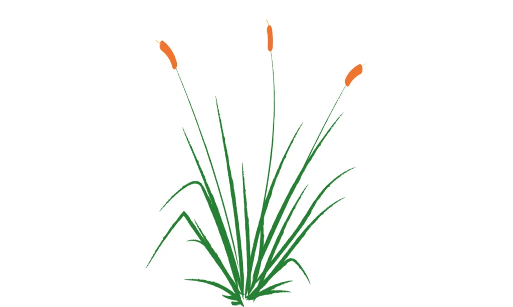 Gambar Rumput Kartun