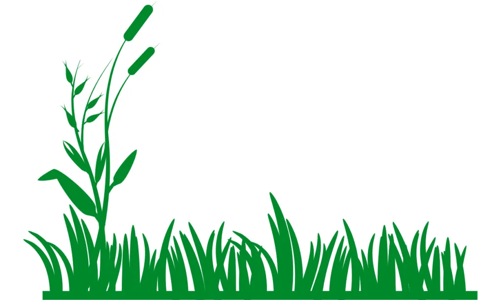 Gambar Rumput Kartun