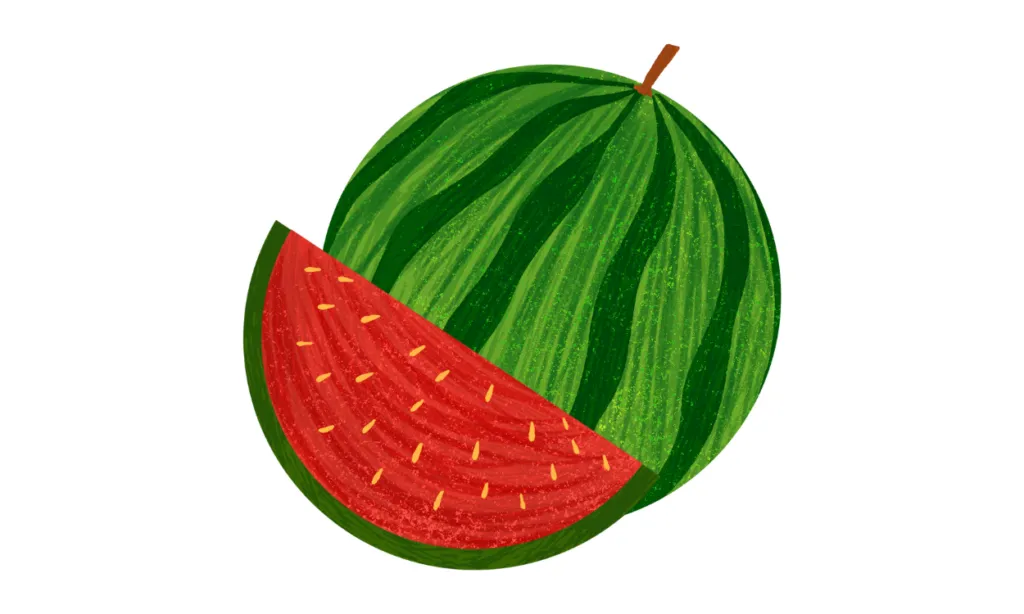 Kumpulan Gambar Semangka Kartun Terbagus dan Terlengkap 5 Gambar Semangka Kartun