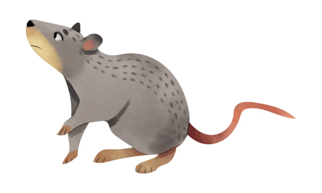 Kumpulan Gambar Tikus Kartun Terbagus dan Terlengkap 5 Gambar Tikus Kartun