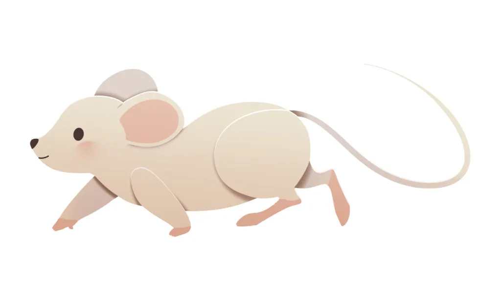 Kumpulan Gambar Tikus Kartun Terbagus dan Terlengkap 3 Gambar Tikus Kartun