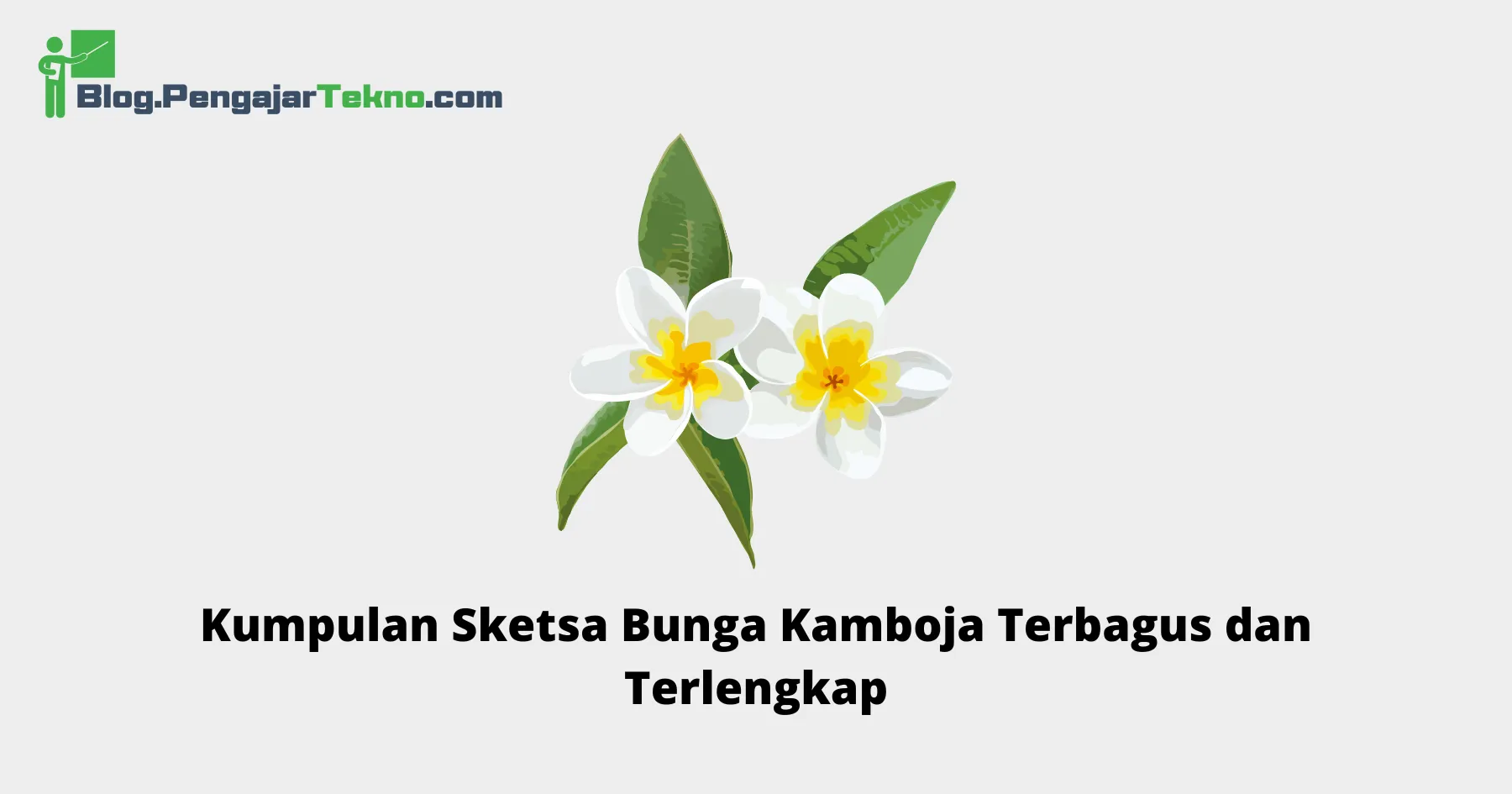 Sketsa Bunga Kamboja