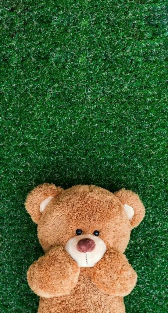 Gambar Boneka Lucu Untuk Wallpaper