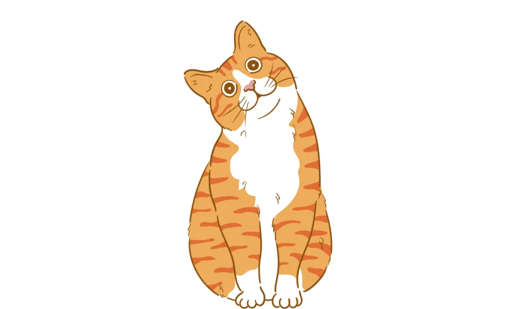 Gambar Kartun Kucing Lucu