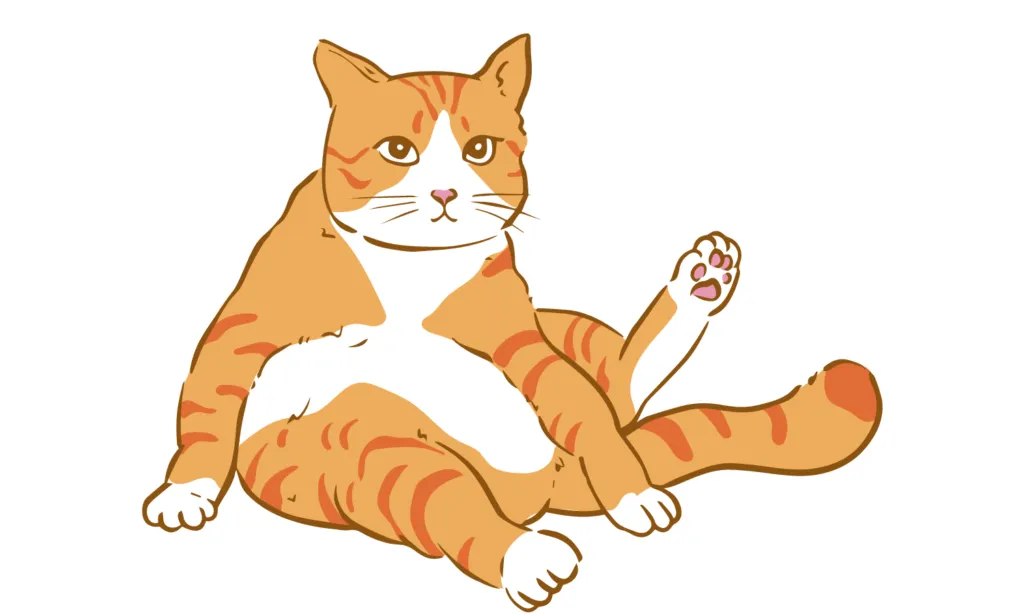 Gambar Kartun Kucing Lucu