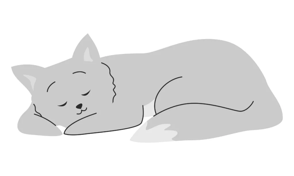 Gambar Kartun Kucing Lucu