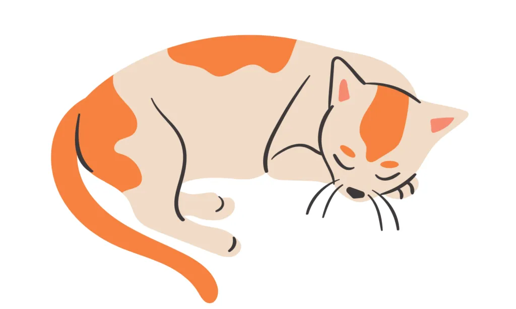 Gambar Kartun Kucing Lucu