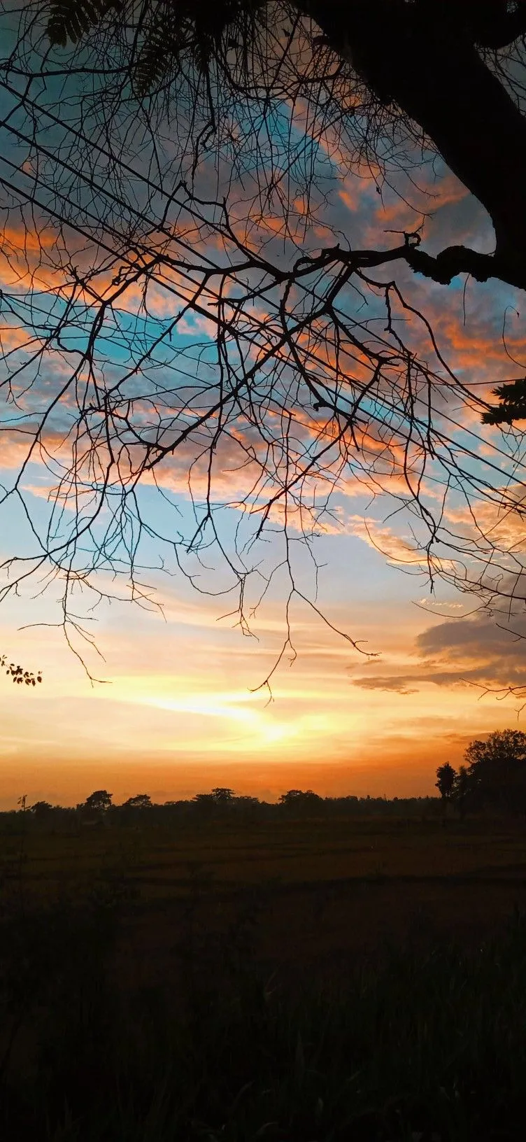 Kumpulan Foto Estetik Langit Keren Terbagus dan Terlengkap 14 Foto Estetik Langit
