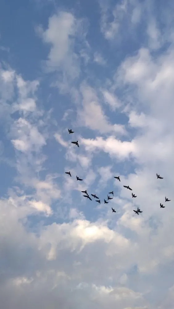 Kumpulan Foto Estetik Langit Keren Terbagus dan Terlengkap 20 Foto Estetik Langit