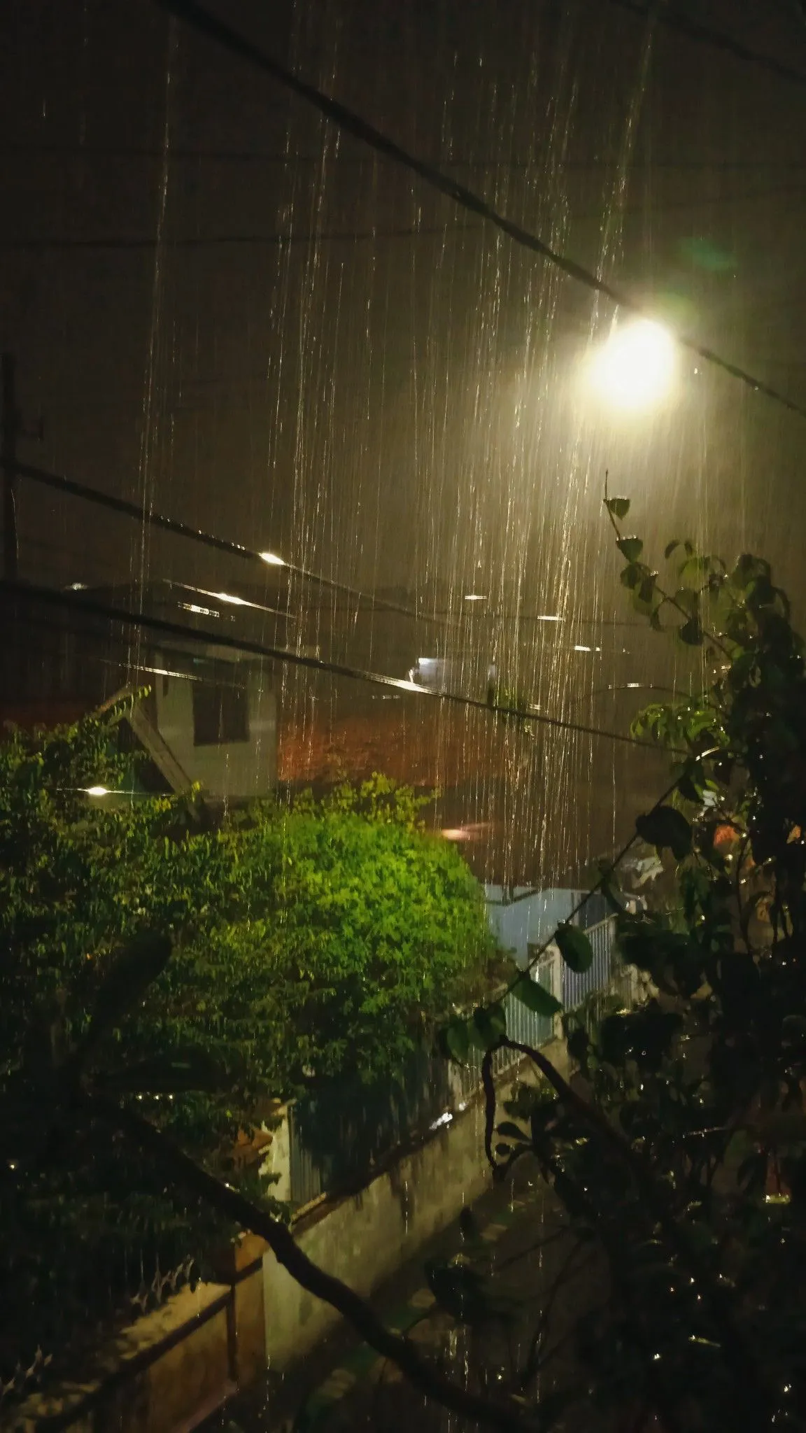 Kumpulan Foto Hujan Malam Hari Terbagus dan Terlengkap 7 Foto Hujan Malam Hari