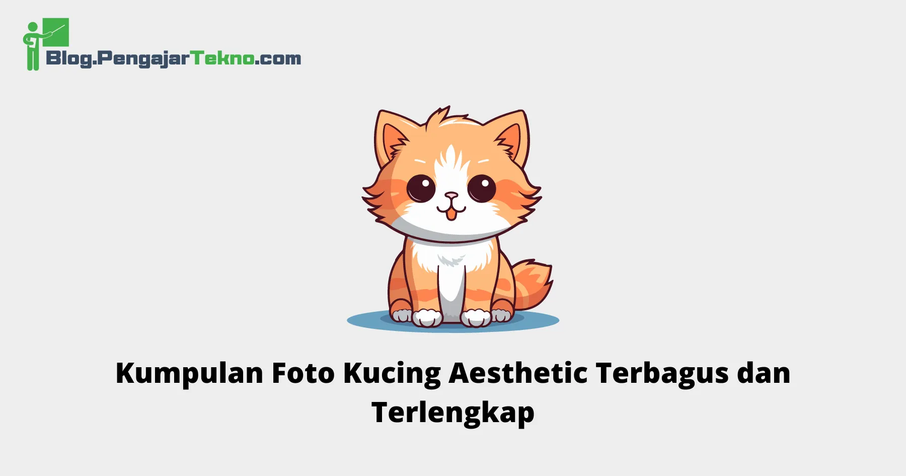 Foto Kucing Aesthetic