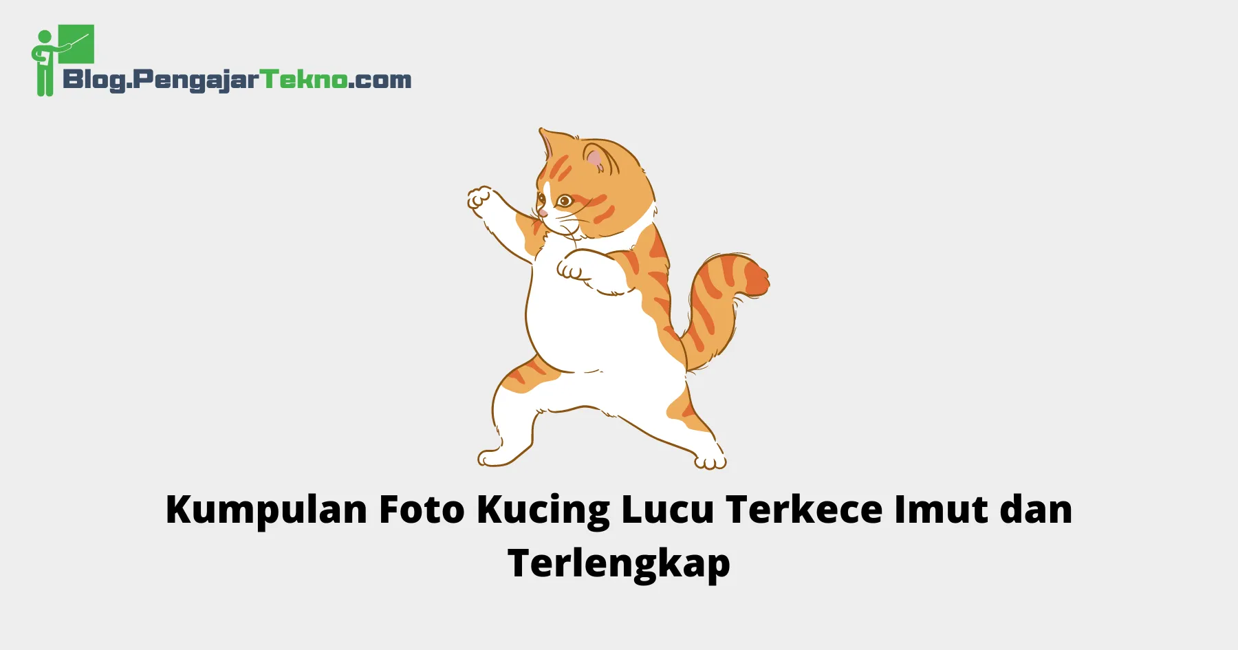 Foto Kucing Lucu