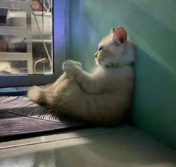 Kumpulan Foto Profil Sad Paling Sad Terbagus dan Terlengkap 24 Foto Profil Sad