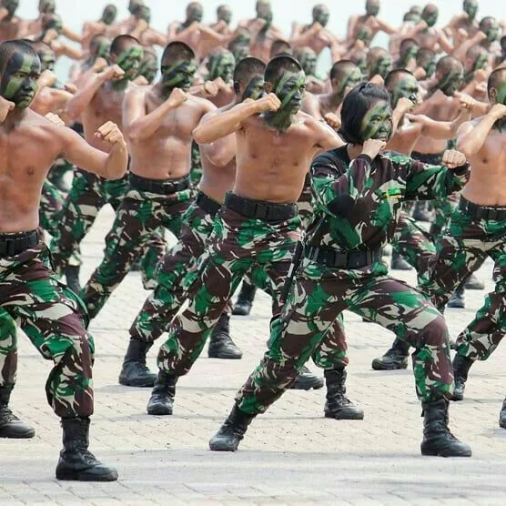 Kumpulan Foto TNI AD Keren Terbagus dan Terlengkap 20 Foto TNI AD