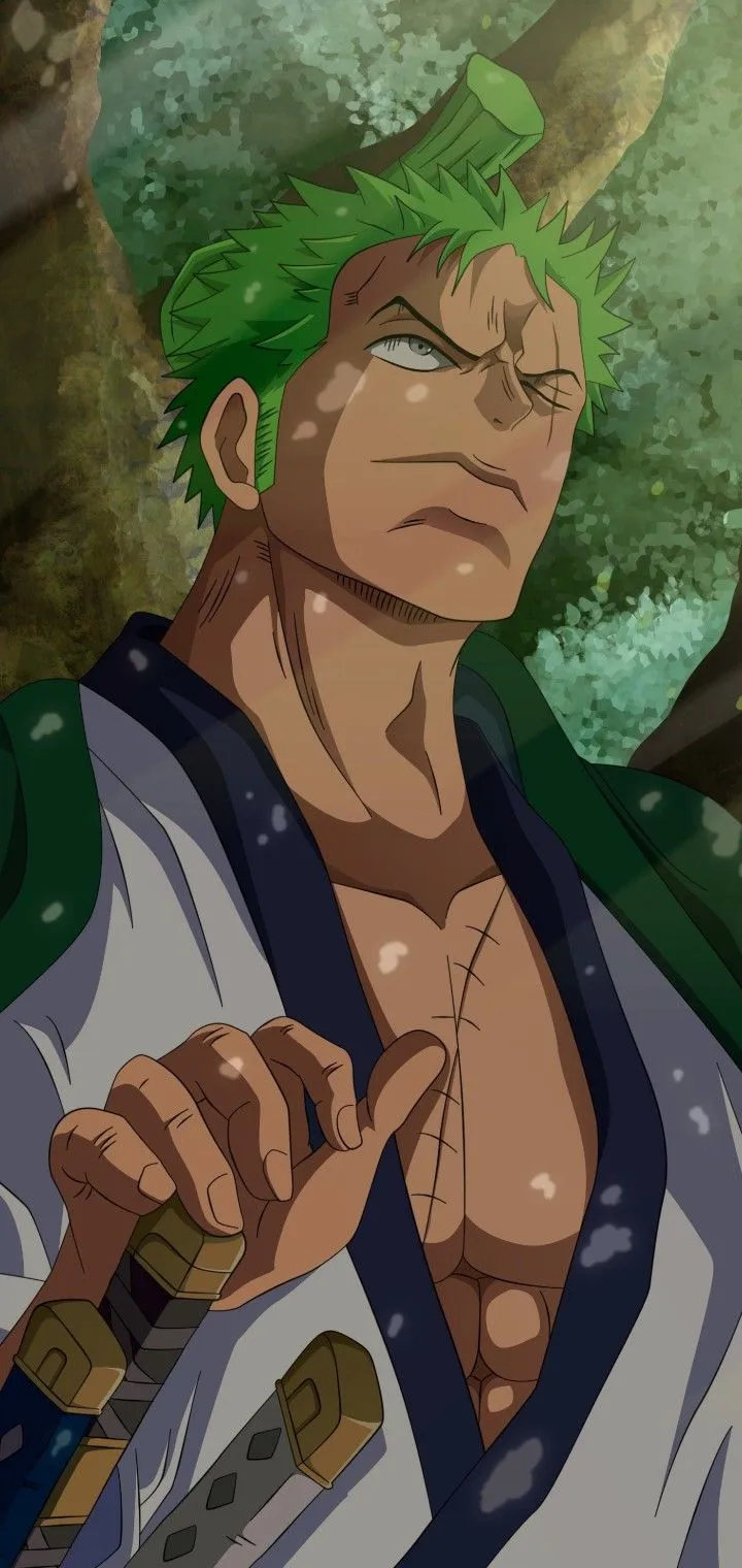 Kumpulan Foto Zoro One Piece Terbagus dan Terlengkap 26 Foto Zoro