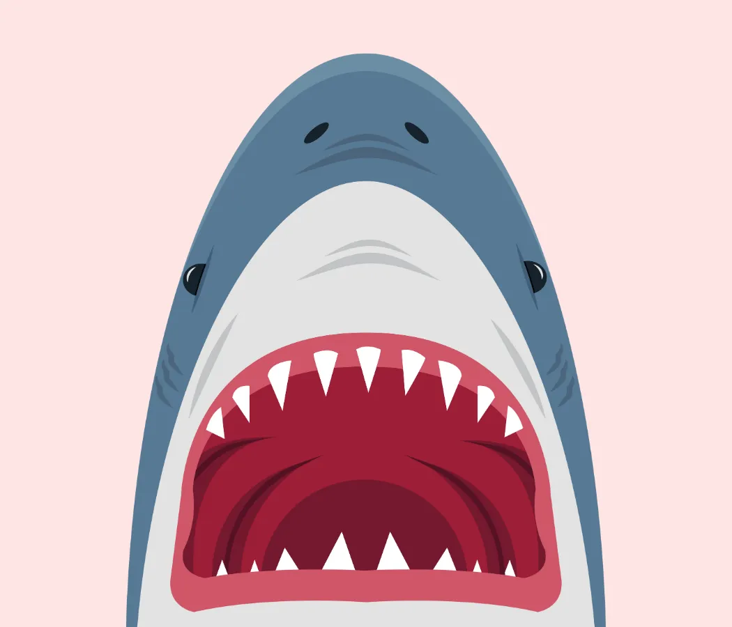 Kumpulan Gambar Ikan Hiu Terbagus dan Terlengkap 8 Gambar Ikan Hiu