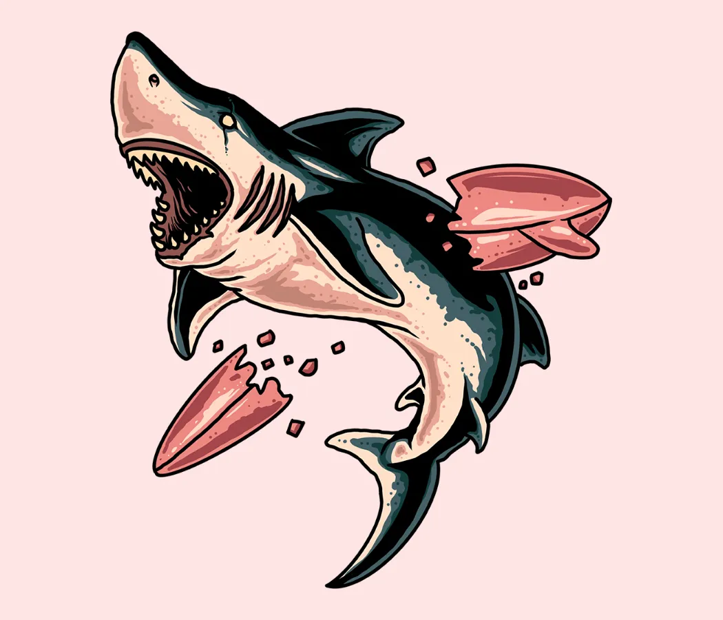 Kumpulan Gambar Ikan Hiu Terbagus dan Terlengkap 6 Gambar Ikan Hiu