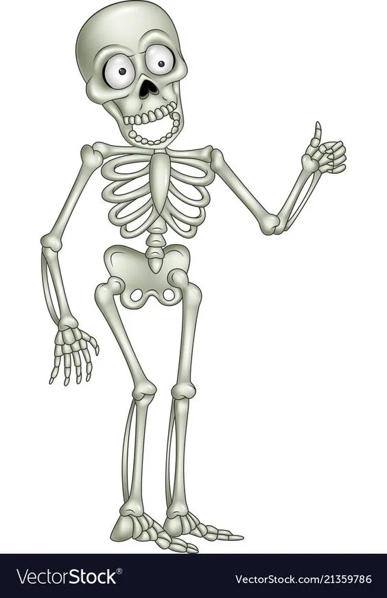 Kumpulan Gambar Kerangka Manusia Terbagus dan Terlengkap 29 Gambar Kerangka Manusia