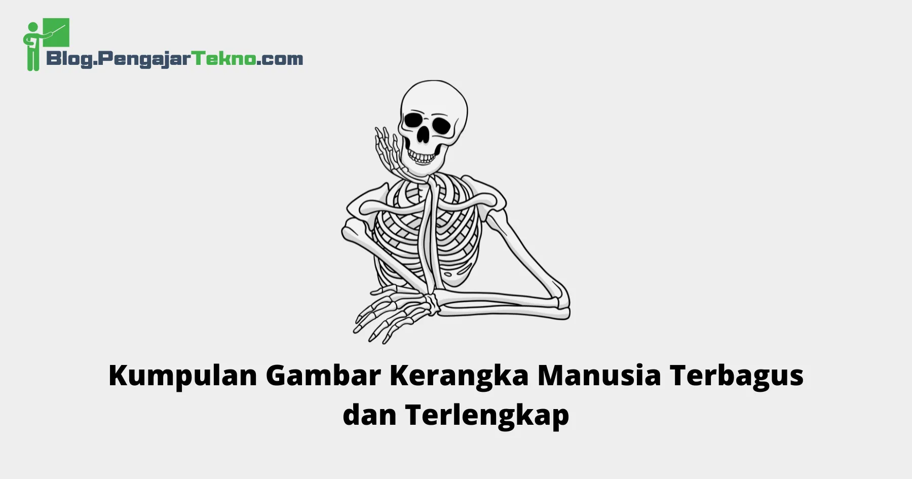 Gambar Kerangka Manusia