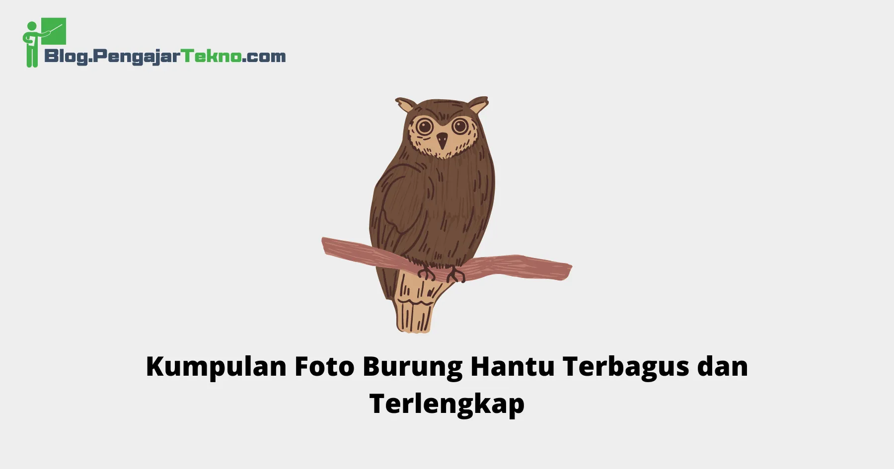 Foto Burung Hantu