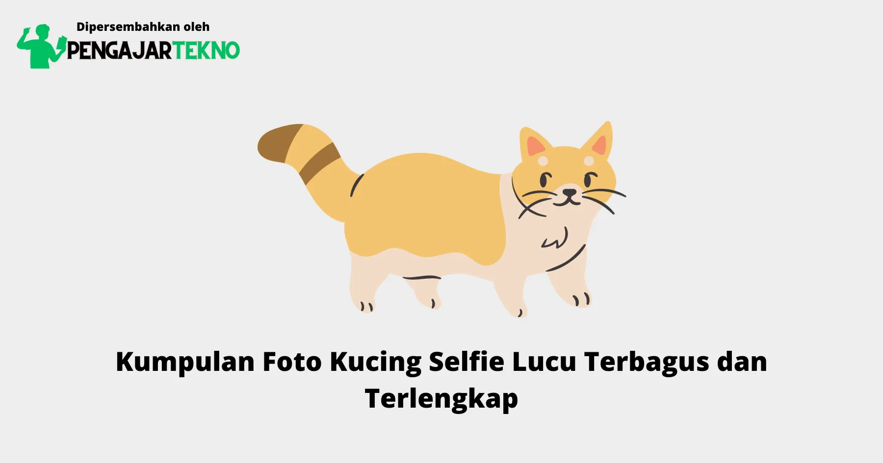 Foto Kucing Selfie