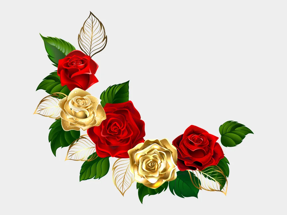 Kumpulan Gambar Mawar Merah Terbagus dan Terlengkap 20 Gambar Mawar Merah