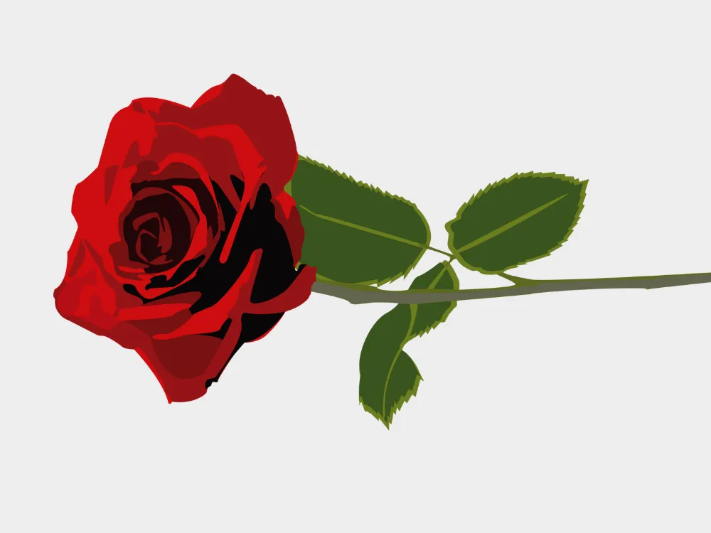 Kumpulan Gambar Mawar Merah Terbagus dan Terlengkap 19 Gambar Mawar Merah