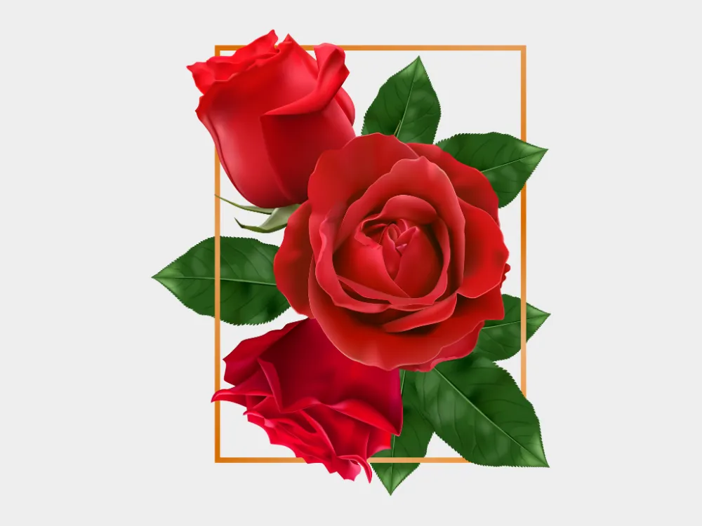 Kumpulan Gambar Mawar Merah Terbagus dan Terlengkap 14 Gambar Mawar Merah