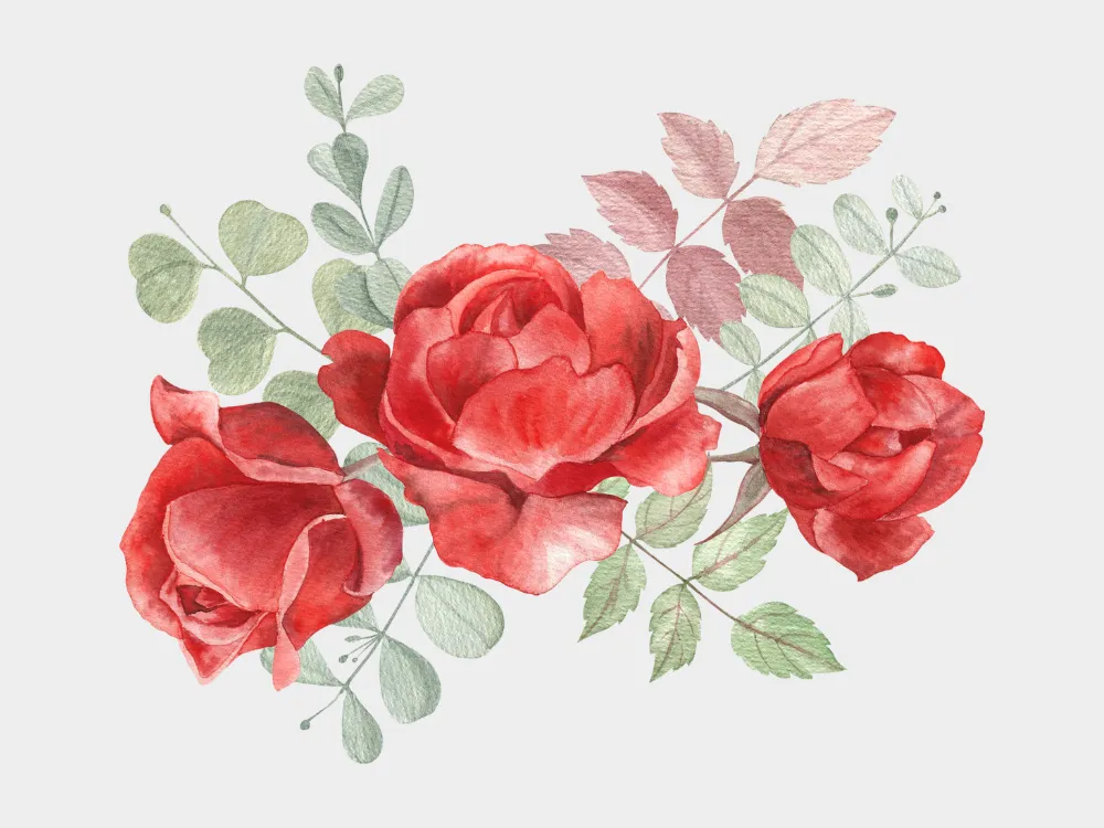 Kumpulan Gambar Mawar Merah Terbagus dan Terlengkap 13 Gambar Mawar Merah