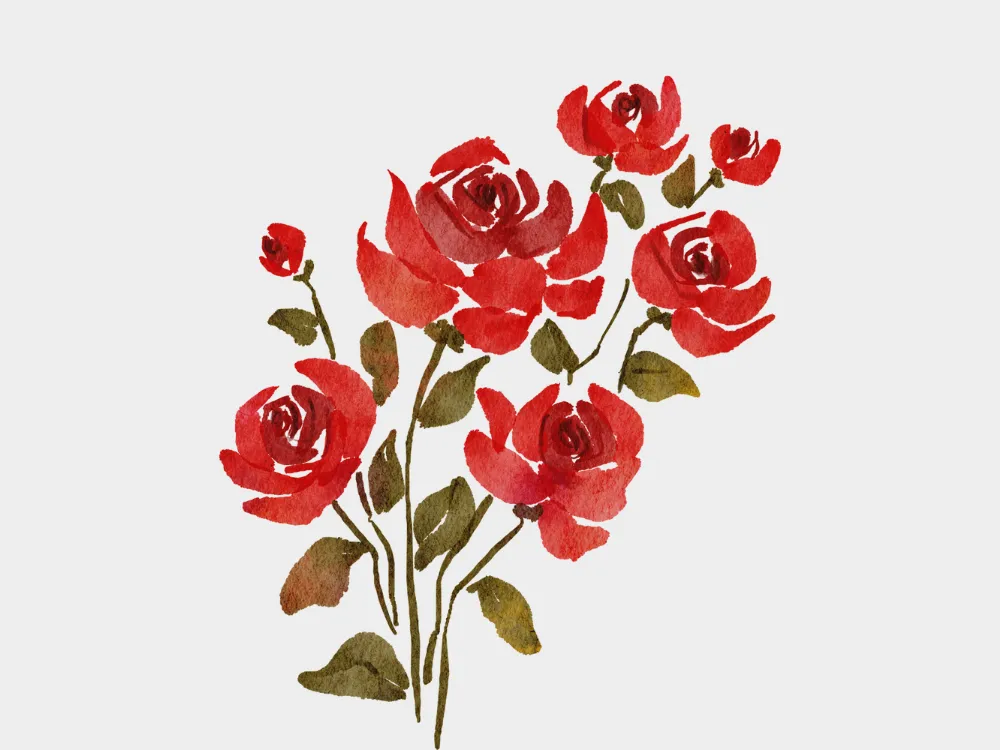 Kumpulan Gambar Mawar Merah Terbagus dan Terlengkap 10 Gambar Mawar Merah