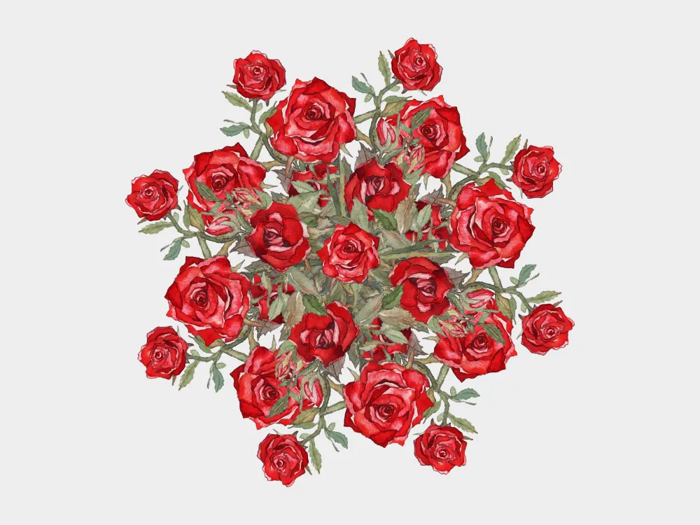 Kumpulan Gambar Mawar Merah Terbagus dan Terlengkap 9 Gambar Mawar Merah