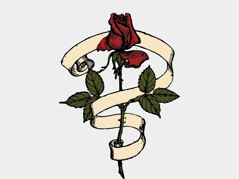 Kumpulan Gambar Mawar Merah Terbagus dan Terlengkap 8 Gambar Mawar Merah