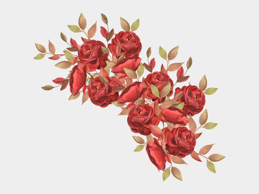 Kumpulan Gambar Mawar Merah Terbagus dan Terlengkap 7 Gambar Mawar Merah