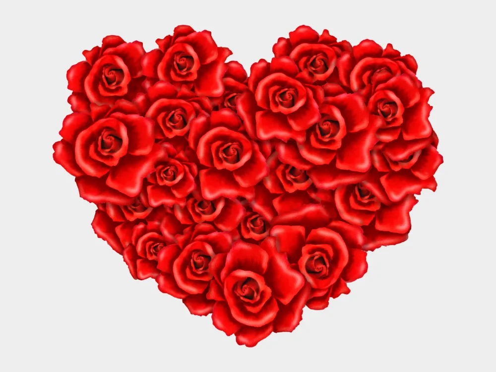 Kumpulan Gambar Mawar Merah Terbagus dan Terlengkap 4 Gambar Mawar Merah