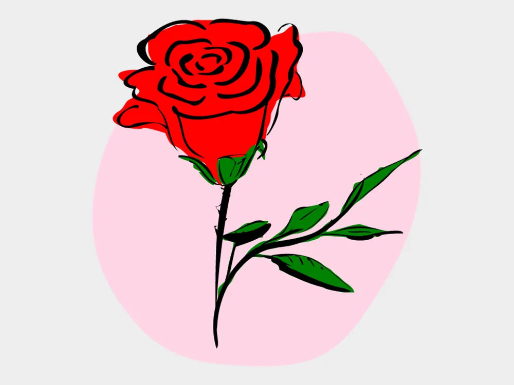 Kumpulan Gambar Mawar Merah Terbagus dan Terlengkap 27 Gambar Mawar Merah