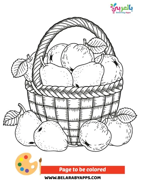 Kumpulan Gambar Mewarnai Buah Terbagus dan Terlengkap 20 Gambar Mewarnai Buah