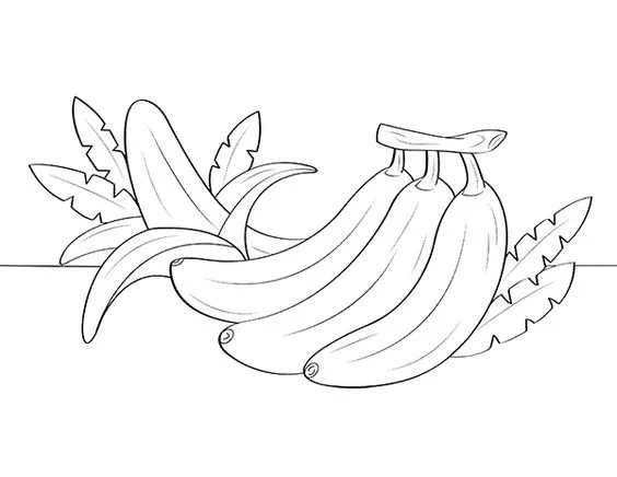 Kumpulan Gambar Mewarnai Buah Terbagus dan Terlengkap 18 Gambar Mewarnai Buah