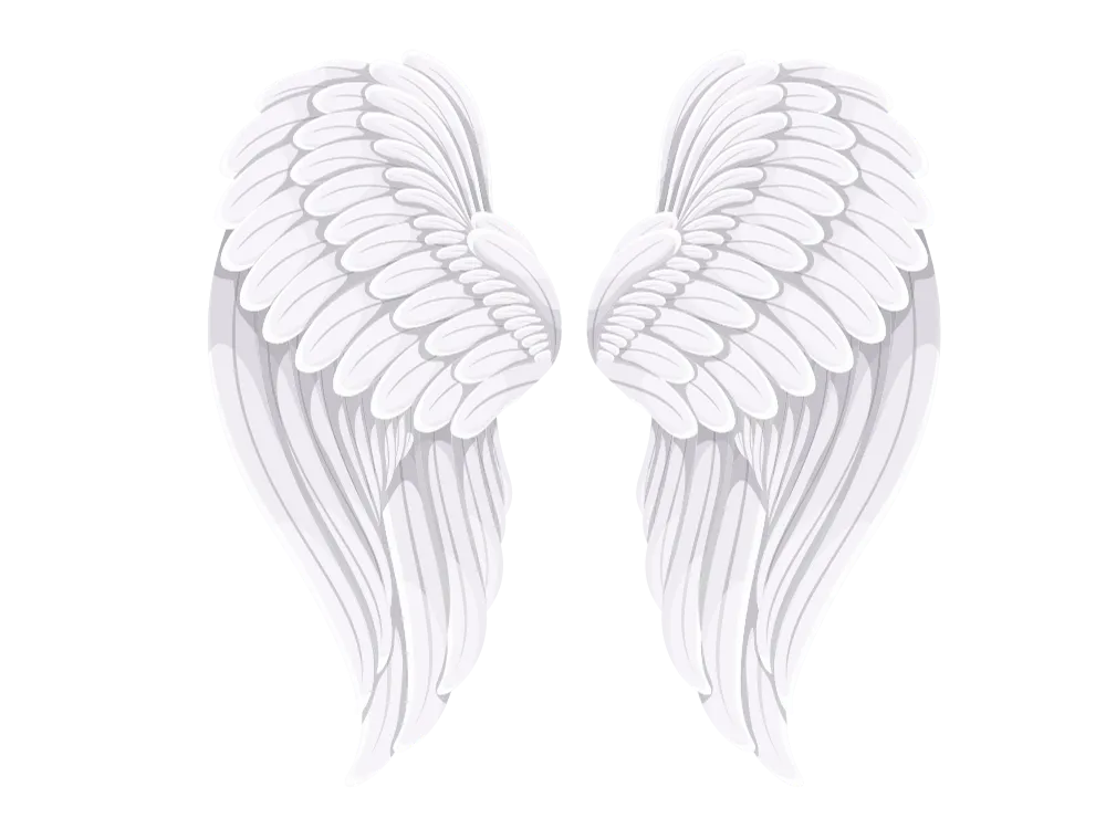 Kumpulan Gambar Sayap Keren Terbagus dan Terlengkap 30 Gambar Sayap Keren