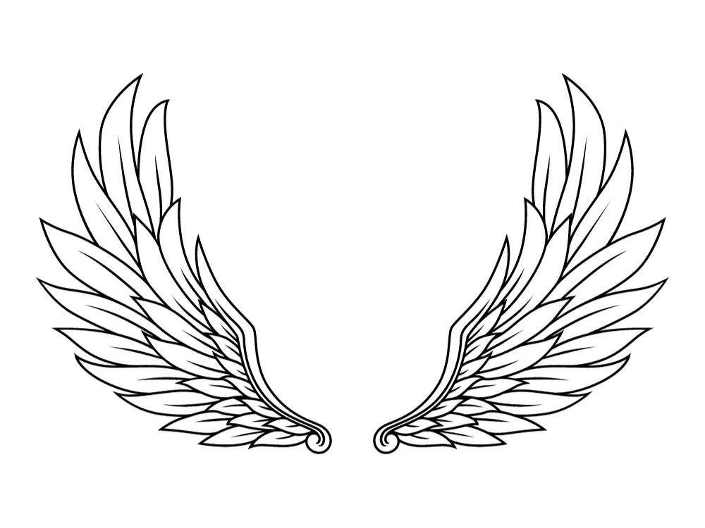 Kumpulan Gambar Sayap Keren Terbagus dan Terlengkap 18 Gambar Sayap Keren