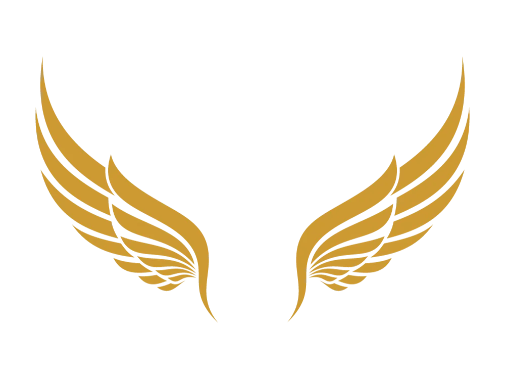 Kumpulan Gambar Sayap Keren Terbagus dan Terlengkap 17 Gambar Sayap Keren