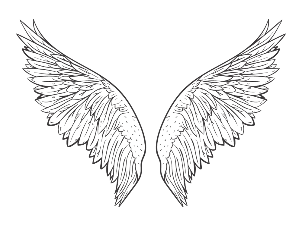 Kumpulan Gambar Sayap Keren Terbagus dan Terlengkap 29 Gambar Sayap Keren