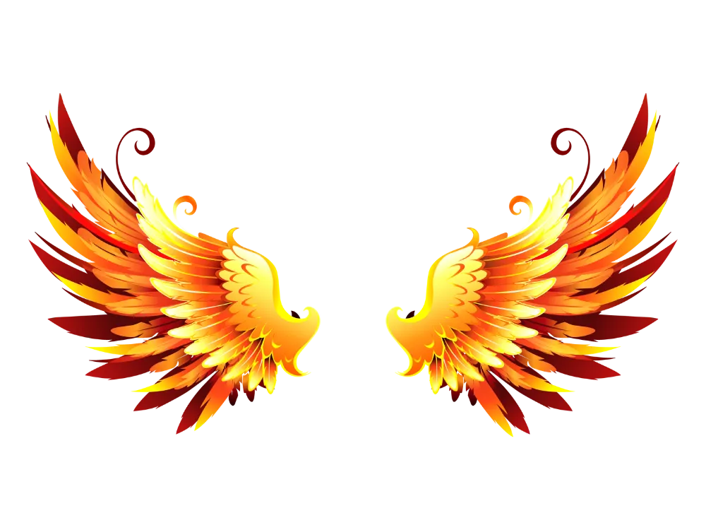Kumpulan Gambar Sayap Keren Terbagus dan Terlengkap 10 Gambar Sayap Keren