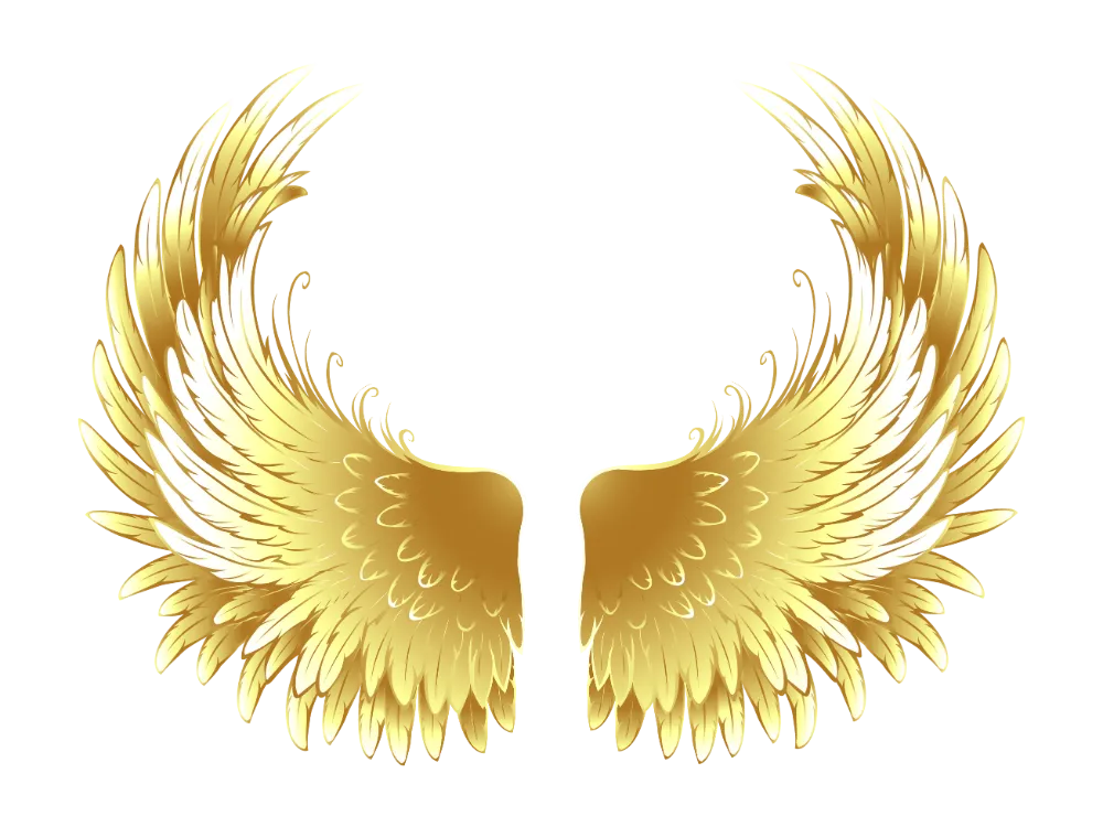 Kumpulan Gambar Sayap Keren Terbagus dan Terlengkap 9 Gambar Sayap Keren