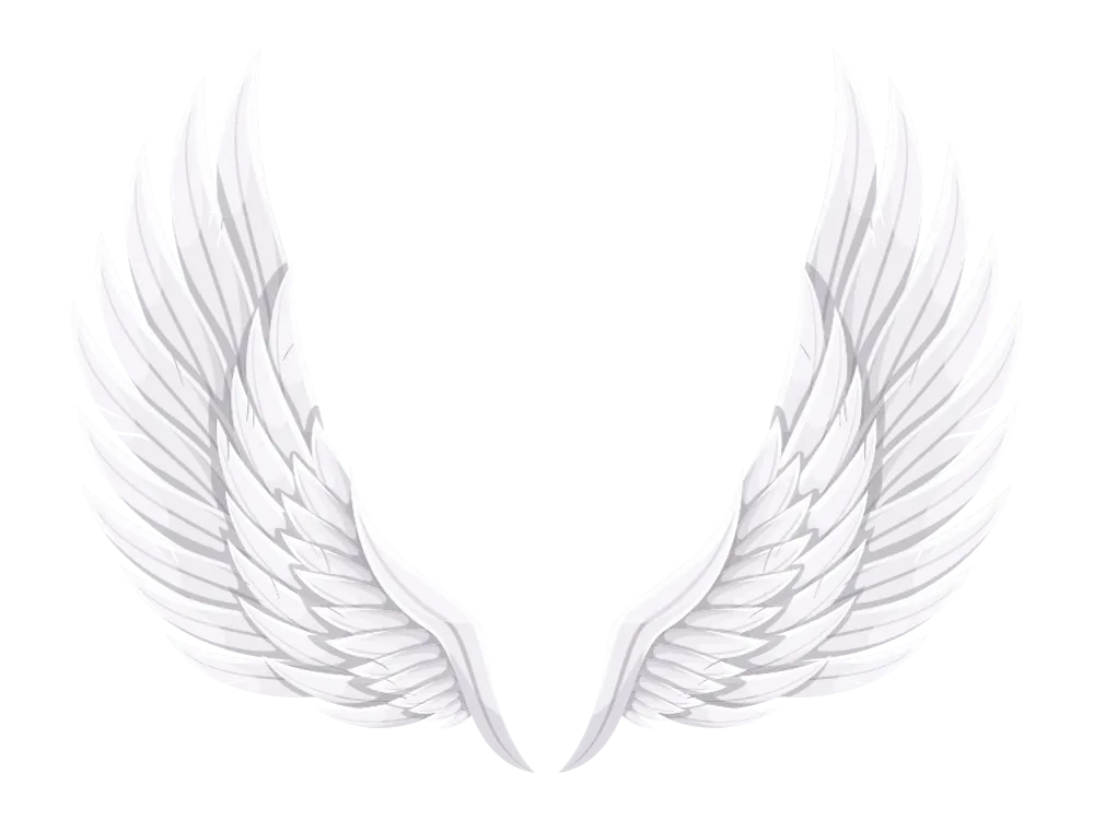 Kumpulan Gambar Sayap Keren Terbagus dan Terlengkap 3 Gambar Sayap Keren