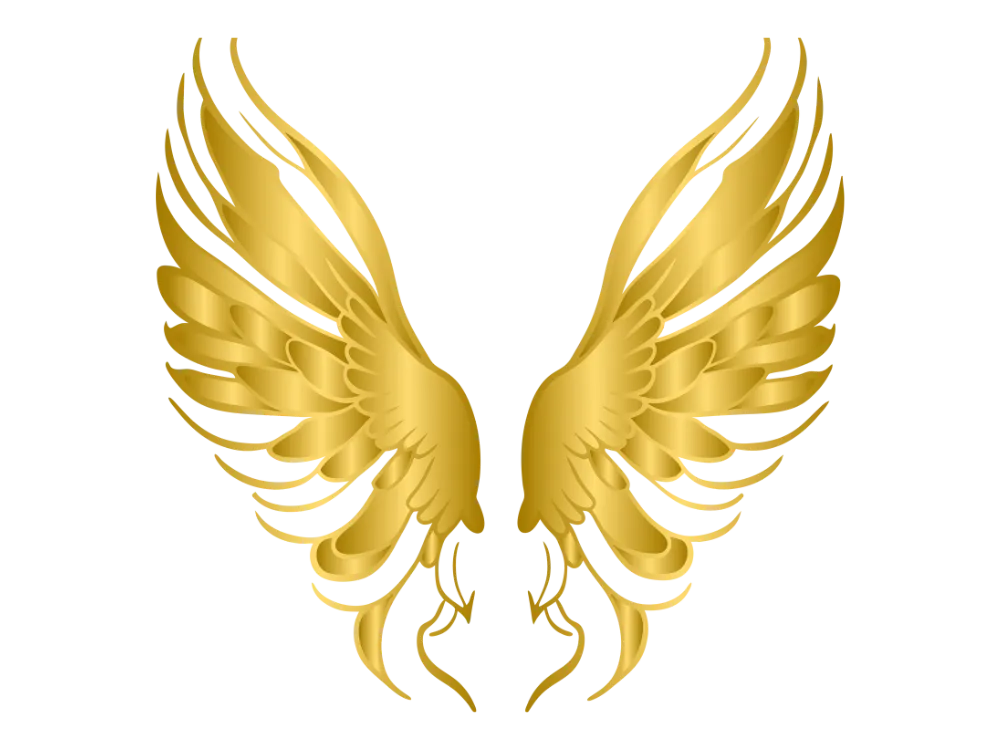 Kumpulan Gambar Sayap Keren Terbagus dan Terlengkap 28 Gambar Sayap Keren