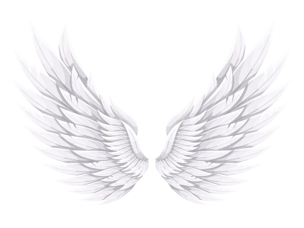 Kumpulan Gambar Sayap Keren Terbagus dan Terlengkap 2 Gambar Sayap Keren