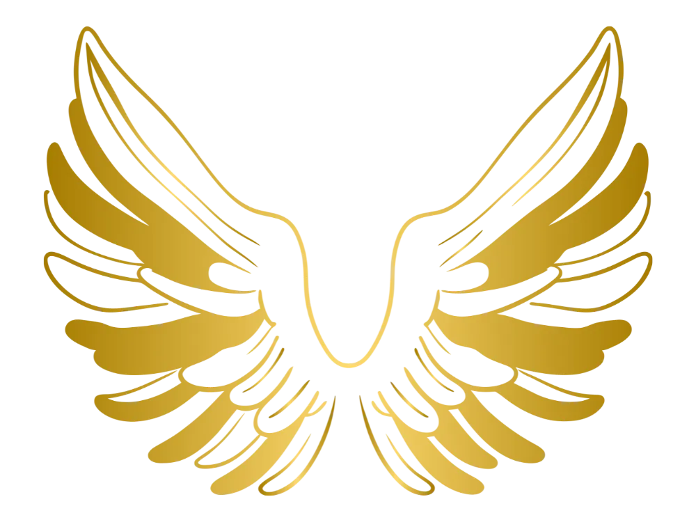 Kumpulan Gambar Sayap Keren Terbagus dan Terlengkap 27 Gambar Sayap Keren