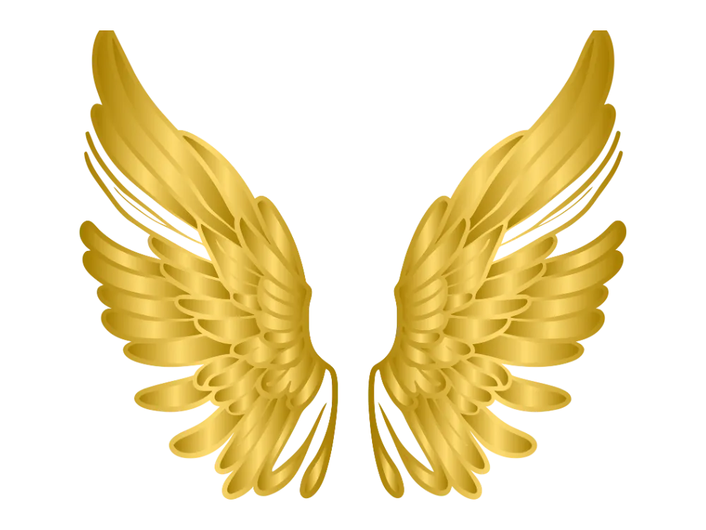 Kumpulan Gambar Sayap Keren Terbagus dan Terlengkap 26 Gambar Sayap Keren